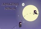 Amazing Ninja