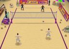 Beach Volleyball: Qlympics Summer Games