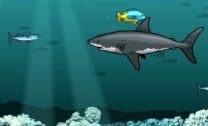 Ataque de Tubarão