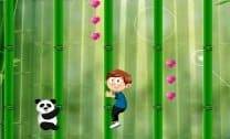 Aventura nos Bambus