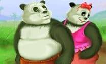Casal de pandas