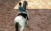 Cavalo Polo 3D