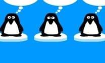 Chave dos Pinguins