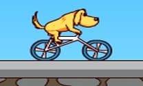 Corrida de cachorro ciclista