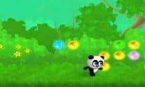 Corrida do Panda