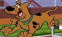 Corrida do Scooby