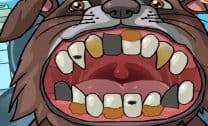 Dentista de Cachorro