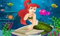 Diferenças da Ariel