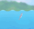 Dolphin Olympi