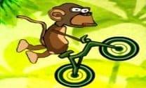 Macaco na bike