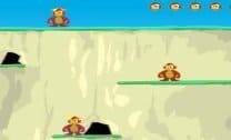 Macacos Mergulhando Do Penhasco