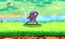 Ninja Fighter