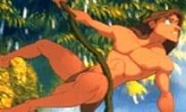 Tarzan puzzle
