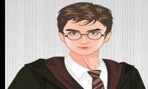 Vestir Harry Potter